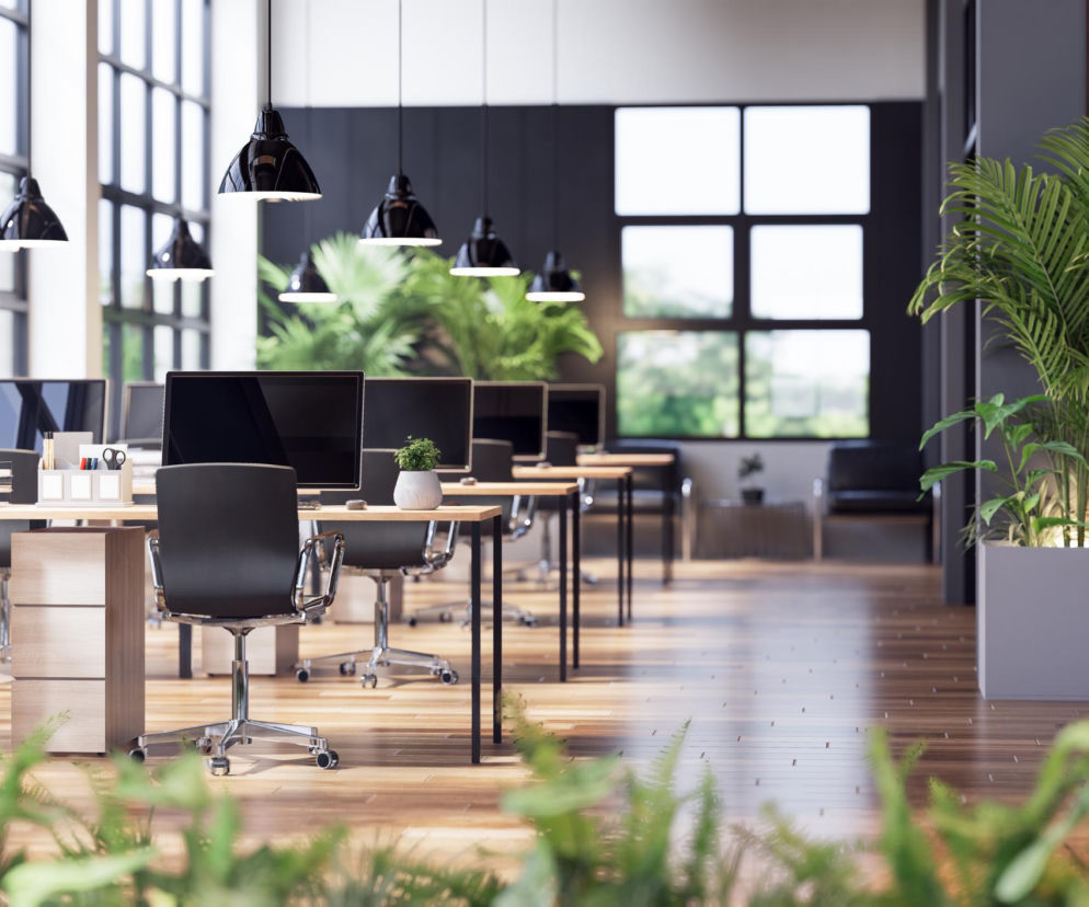 Oświetlenie biura