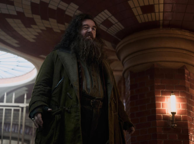 Nick Frost jako Rubeus Hagrid