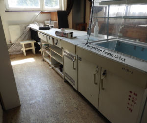 Lalka śpiąca w łóżku i urządzenia rehabilitacyjne. Co znajduje się w opuszczonym sanatorium przy polskiej granicy? [ZDJĘCIA]