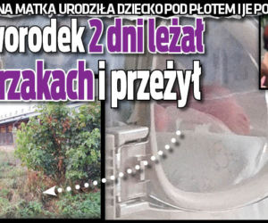 Noworodek 2 dni leżał w krzakach i przeżył