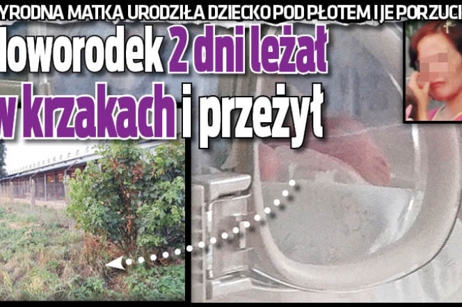 Noworodek 2 dni leżał w krzakach i przeżył