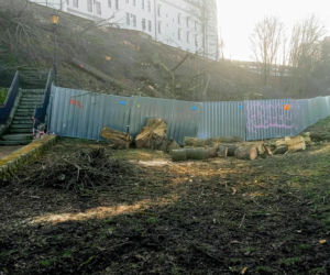 Drzewa zniknęły ze skarpy pod Zamkiem Książąt Pomorskich