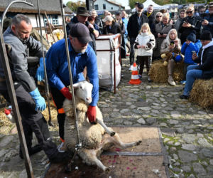IV Jamneńskie Zakończenie Sezonu Pasterskiego