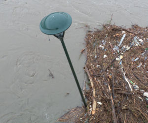 Powódź w Krakowie 24.05.2019: Fala kulminacyjna na Wiśle: zalane bulwary, okropny widok