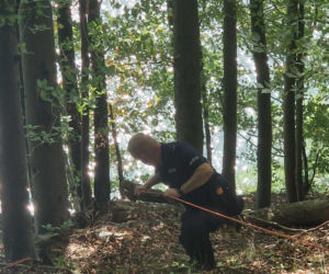 Turystka zawisła nad urwiskiem Jeziora Solińskiego
