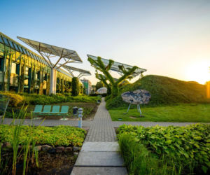 Mniej betonu, więcej zieleni