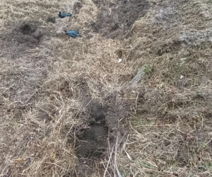 Zabił Walentynę, bo chciała od niego odjeść. Koszmar na Mazowszu