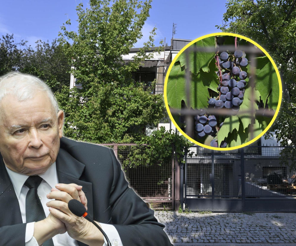 Jarosław Kaczyński na tle swojej willi. Na miniaturze winogrona na płocie. O ogrodzie prezesa PiS przeczytasz na Eska.