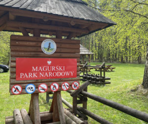 Znajdziesz tu grzmiący  wodospad i Diabli Kamień! To miejsce w Beskidzie Niskim wprawia w zachwyt, ale docierają tu  nieliczni