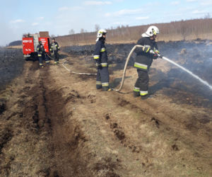 Biebrzański Park Narodowy. Ogromny pożar największego parku narodowego w Polsce
