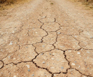 Temperatura w Łodzi wystrzeli w górę. Niedziela przyniesie prawdziwy upał