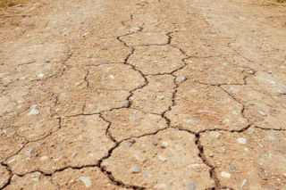 Temperatura w Łodzi wystrzeli w górę. Niedziela przyniesie prawdziwy upał