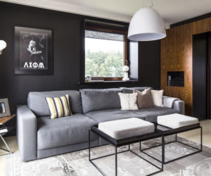 Nowoczesny salon w szarościach