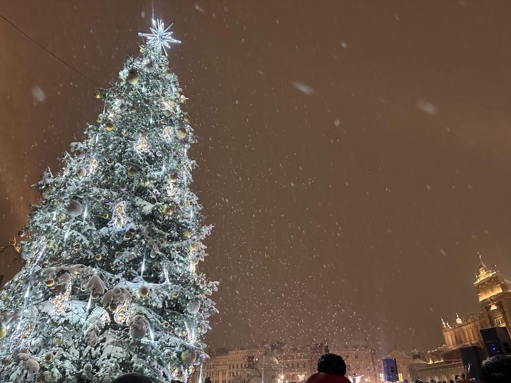 Choinka rozbłysła na Rynku Głównym. Tak wygląda Kraków w zimowej scenerii! 