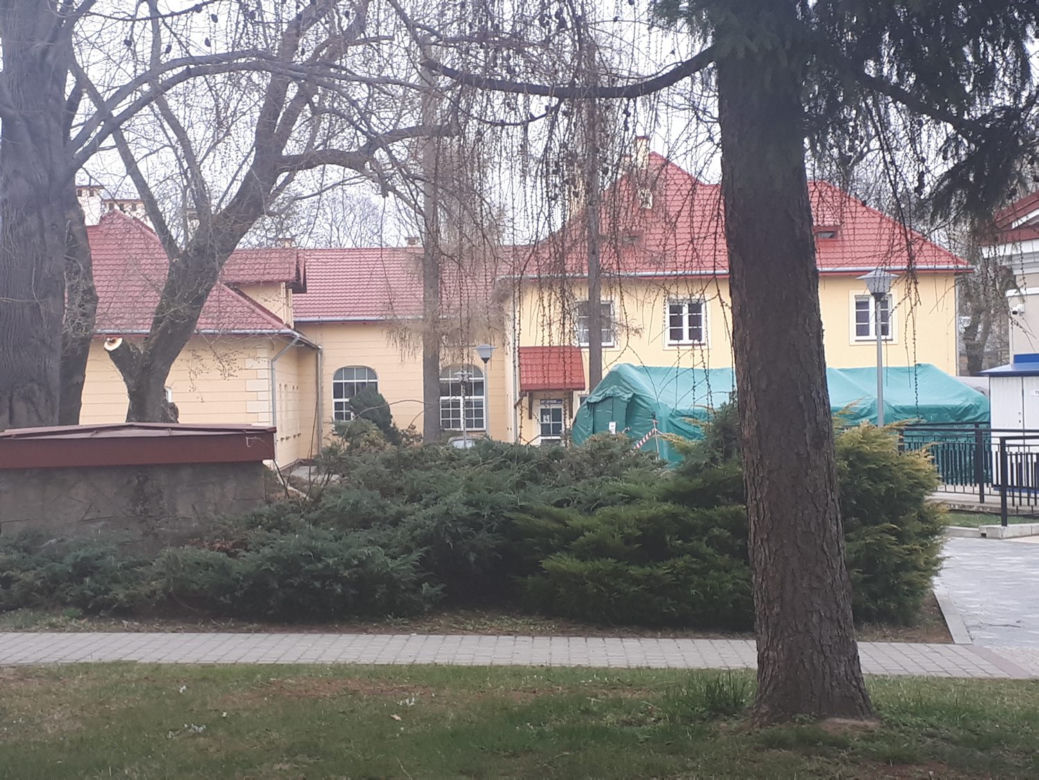 Zaraziła się wirusem w ciąży, zmarła po porodzie