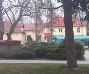 Zaraziła się wirusem w ciąży, zmarła po porodzie