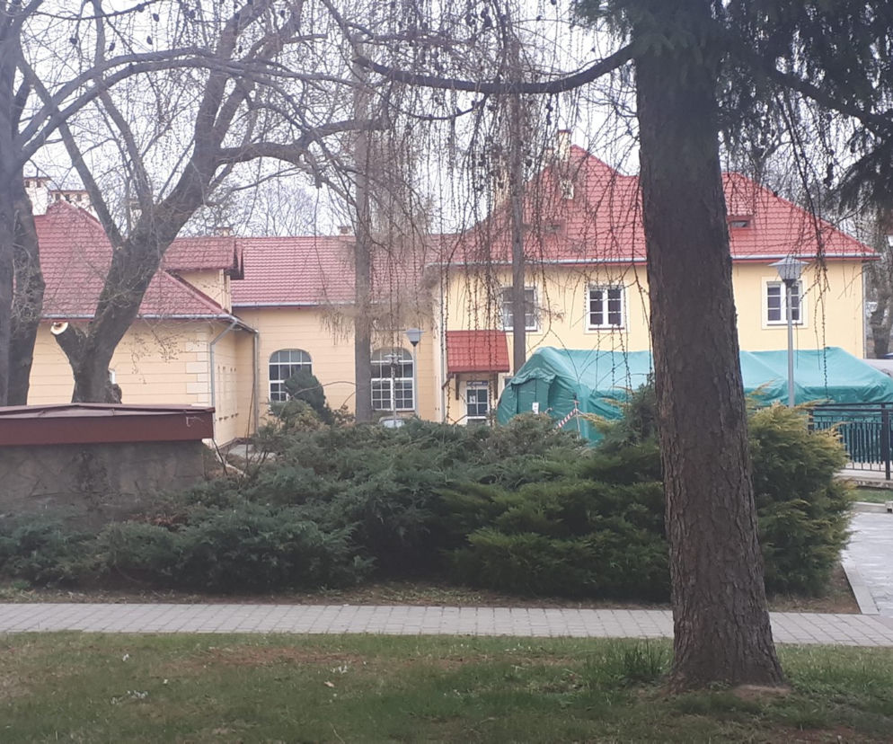 Zaraziła się wirusem w ciąży, zmarła po porodzie