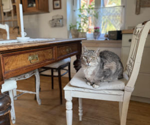 Dom pod królikiem - po metamorfozie