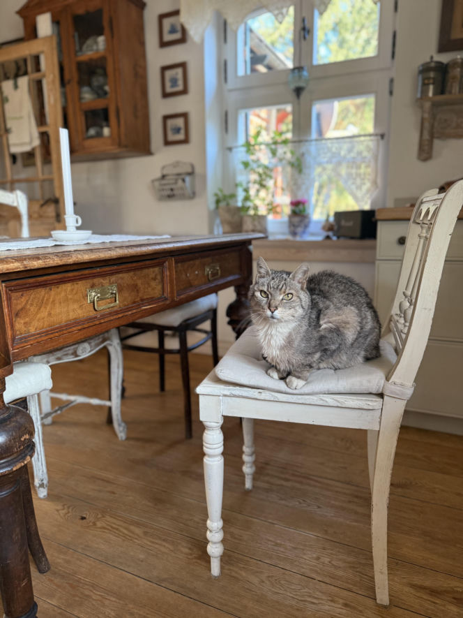 Dom pod królikiem - po metamorfozie