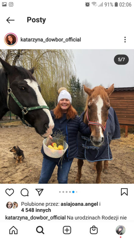 Końskie zaloty gwiazd! Co oni wyczyniają? Aż koń by się uśmiał!