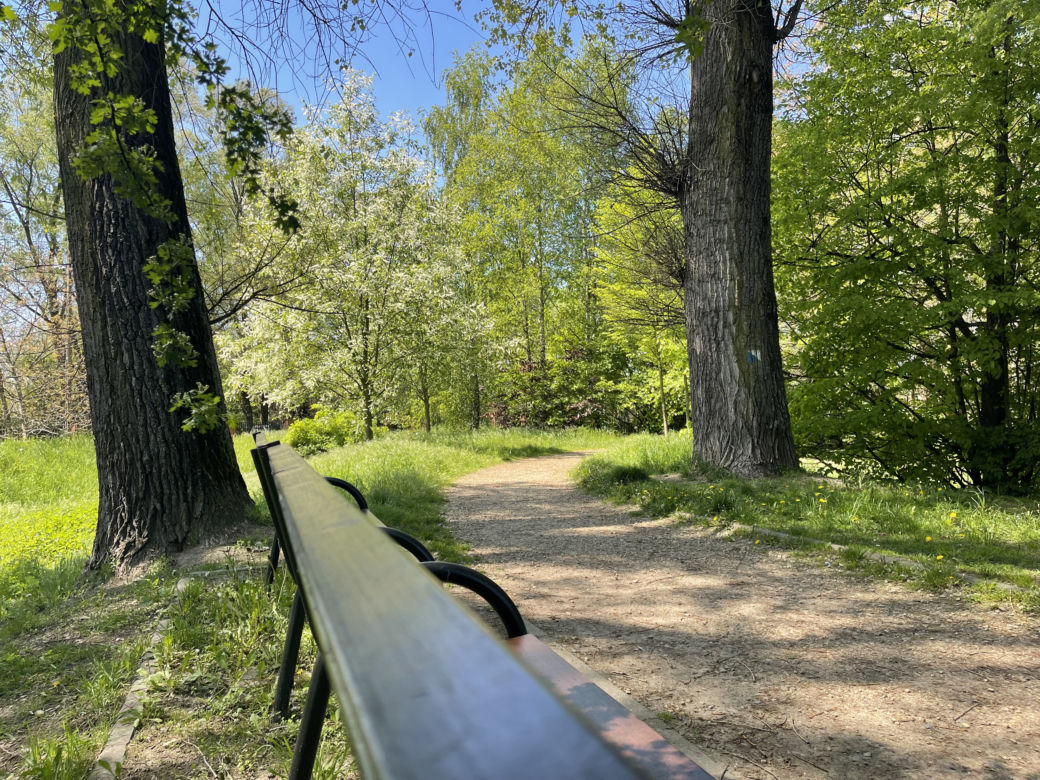 Kraków ma najdłuższy park w Polsce. Poznajcie Młynówkę Królewską! 