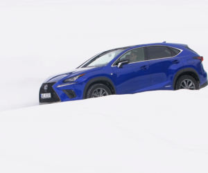 Lexus NX 300h F Sport