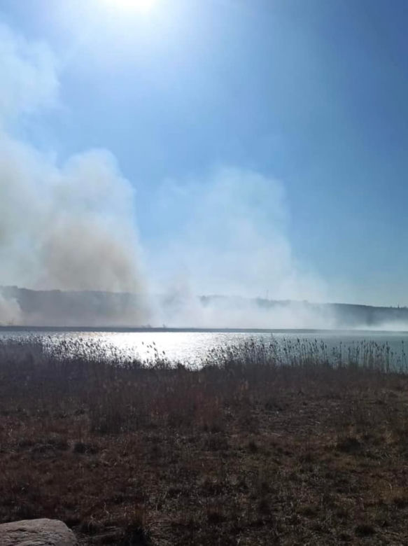 Płonie ponad 10 ha traw w Brodach! Na miejsce leci samolot gaśniczy