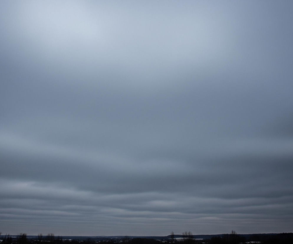 Dominującym elementem obrazu jest pochmurne niebo, zajmujące większość kadru. Górna część nieba jest jaśniejsza, przyjmując odcień szaroniebieski, z subtelnym rozjaśnieniem w prawym górnym rogu. Poniżej, w środkowej i dolnej części nieba, chmury są ciemniejsze, tworząc poziome, pofalowane pasma w odcieniach ciemnego szarego i grafitowego, z widoczną teksturą i zróżnicowaniem w tonacji. U dołu obrazu, pod linią horyzontu, widoczne są ciemne, zalesione obszary oraz pojedyncze, nagie drzewa, tworzące smużkę czerni i ciemnego brązu. Krajobraz pod niebem jest w przeważającej mierze ciemny, z delikatnymi, niewyraźnymi plamami jaśniejszej bieli, być może oznaczającymi śnieg lub zamarznięte powierzchnie.