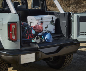 (2021) Ford Bronco