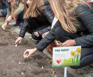 Fundacja Pomóż Im. Po raz dziesiąty zaczęli siać Pola Nadziei [ZDJĘCIA]