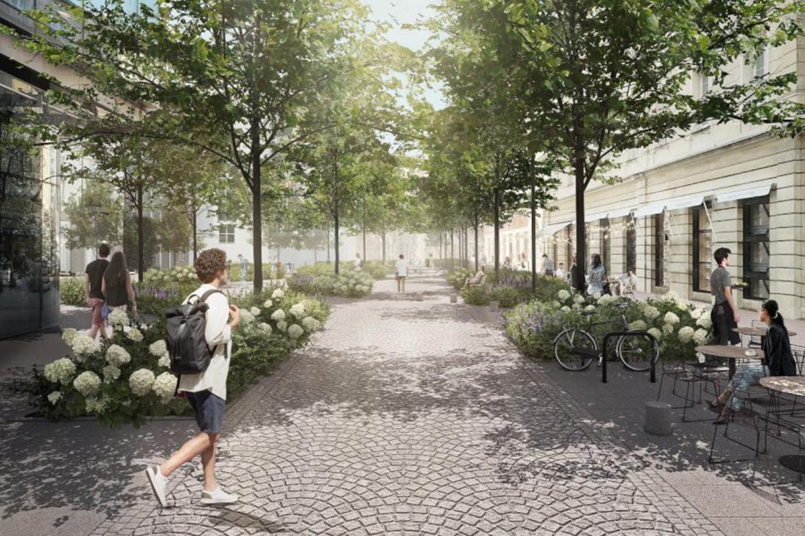 Warszawa. Chmielna się zazieleni. Znamy wykonawcę przebudowy reprezentacyjnej ulicy