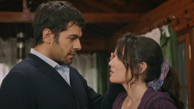 Wichrowe wzgórze odc. 354. Zeynep, Halil