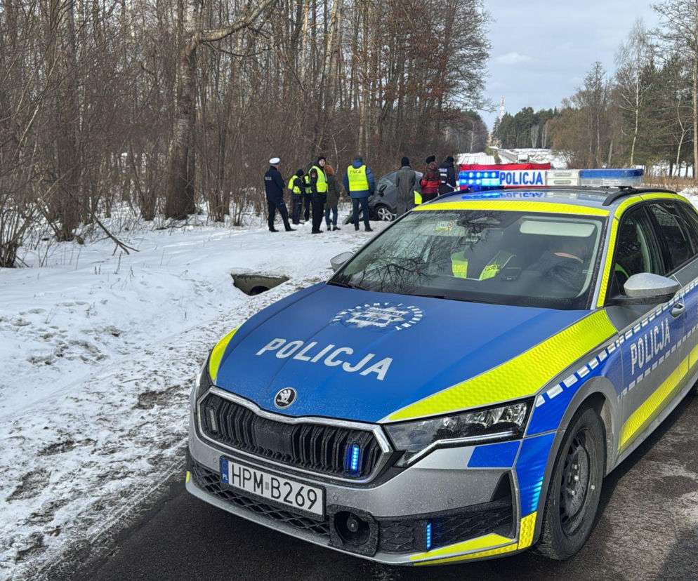 Tragiczny wypadek w Janowiczach. Auto uderzyło w łosia, kierowca nie żyje