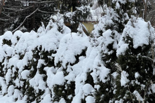 Od -22 do +3 stopni w Polsce. Do tego śnieżyce i przekleństwo kierowców