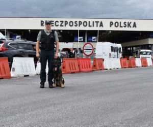 Kenzo zasilił szeregi podkarpackiej KAS. Potrafi wykrywać zagrożone gatunki