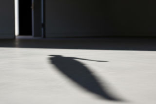 Bestialski atak na strusia Zenka. Makabryczne zamiary oprawcy ujawnione w sądzie.