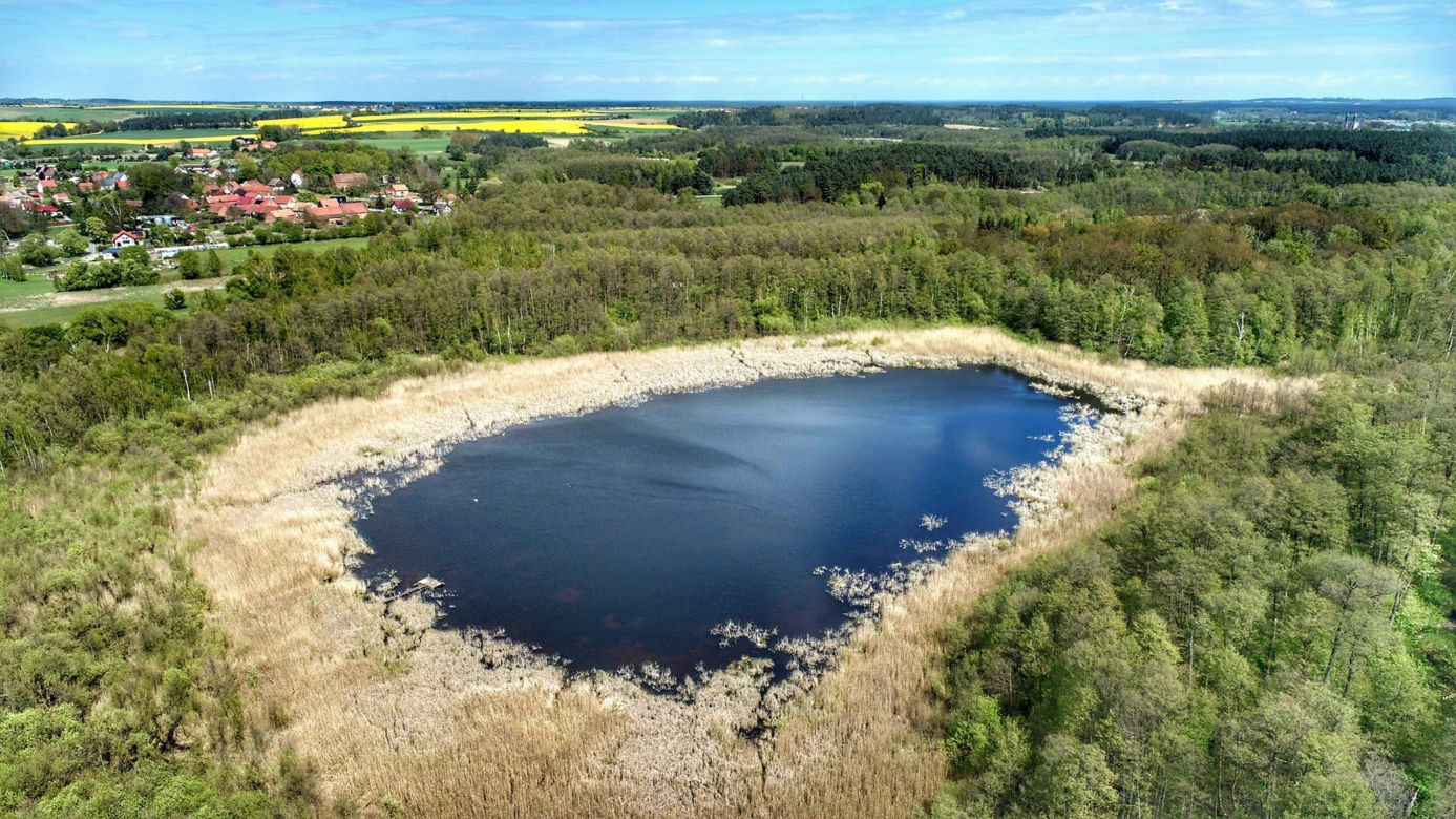 Jezioro Czarne w Lubuskiem, w gminie Świebodzin