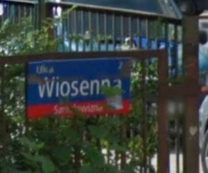 Oto najbardziej wiosenne ulice w stolicy! Tu wiosna trwa cały rok!