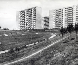 Archiwum Marii Chronowskiej