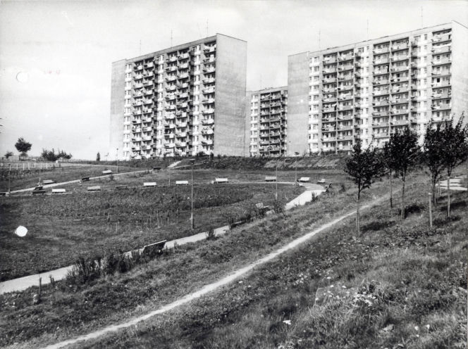 Archiwum Marii Chronowskiej