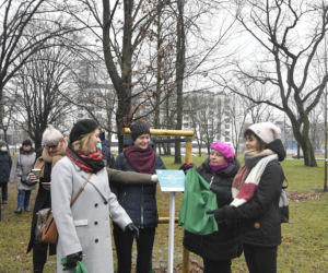 Powstańcy zapuścili korzenie. 20 drzew dla bohaterów w parku na Woli