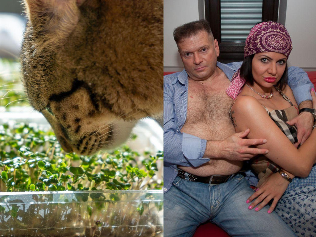 Rzeżuchy które wyglądają jak Krzysztof Rutkowski i jego legendarne fryzury