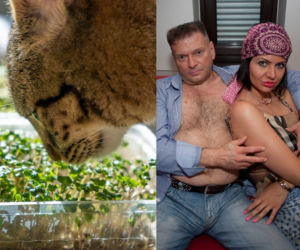 Rzeżuchy które wyglądają jak Krzysztof Rutkowski i jego legendarne fryzury