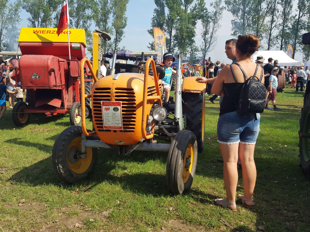 Festiwal starych ciągników w Wilkowicach. Setki maszyn, tysiące widzów i upał