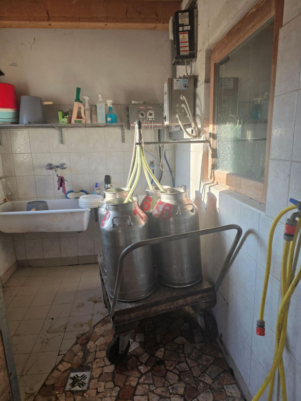 Roter Hahn: Nowoczesna agroturystyka zamiast hotelu – tu bije prawdziwe serce Południowego Tyrolu