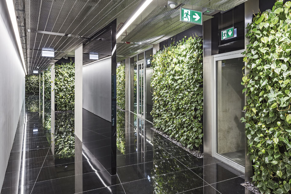 SZUCHA Premium Offices