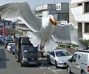 zdjęcia Google Street View