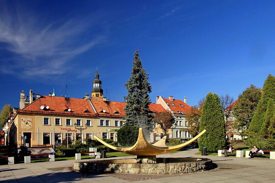 11. Wodzisław