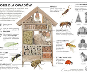 Światowy Dzień Pszczół