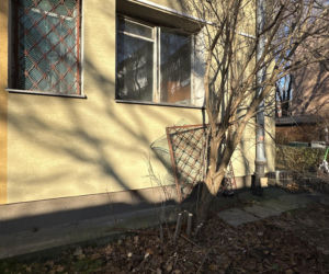 Pożar mieszkania na parterze. Strażacy z ognia wynieśli przerażonego kota